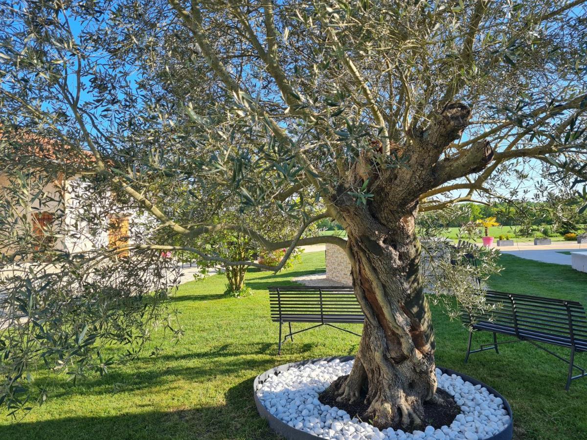 Domaine Du Cuiset -Gite Des Combles Villa Saint-Andre-sur-Vieux-Jonc Exterior photo